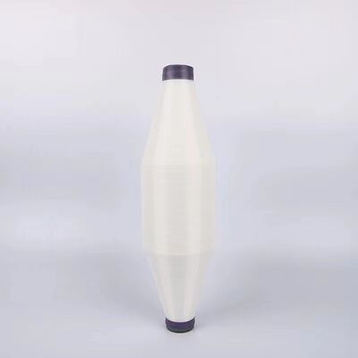 20D 30D Texured  Monofilament Twisted Polyester Mono Yarn for Accessories and Knitting Polyester Monofilament